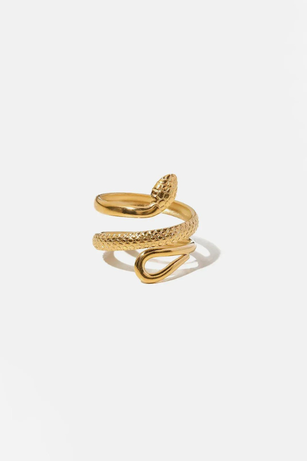 Dakota | Women's statement ring with sculpted snake